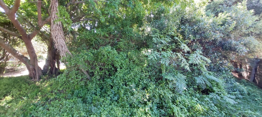 Commercial Property for Sale in Gamtoos Mouth Eastern Cape